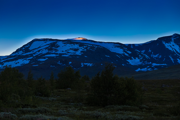 7511 - The last spot of light - -