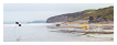  8318 - Sports Beach Section - - 