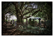  8348 - Saint Brynach Cemetery - - 