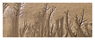  8766 - Sand water trees - - 
